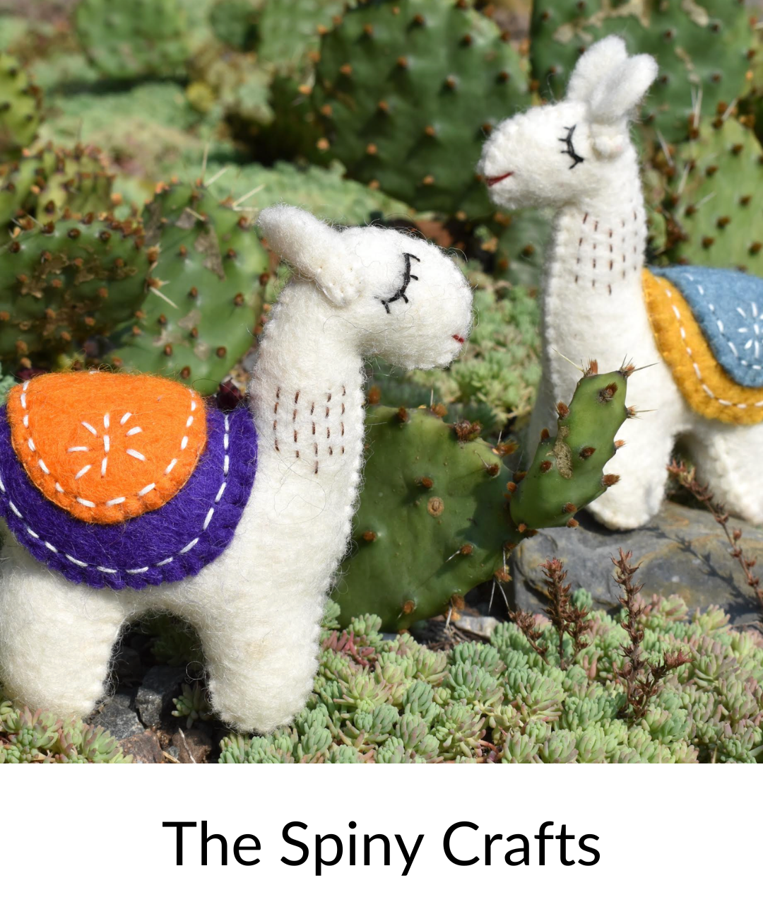 The Spiny Crafts