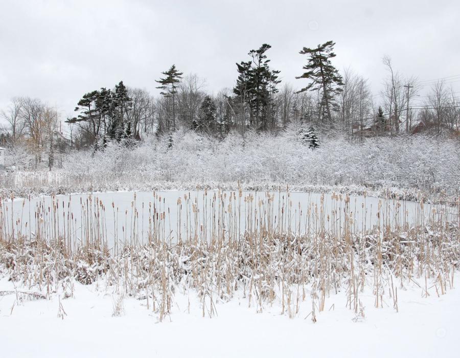 Winter in Sackville